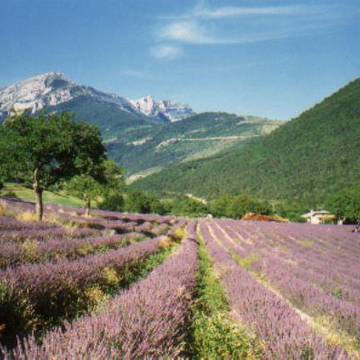 Porte Saint-Marcel de Die